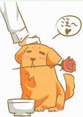 ����֮��ֶ��ϵ