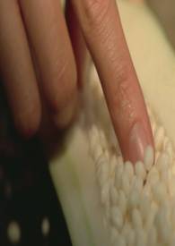 ����ĸ�ӣ�