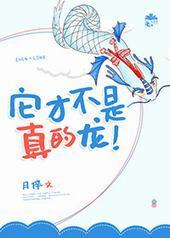 ���Ų����������