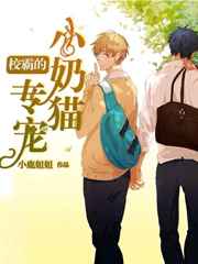 У�Ե�ר��С��è