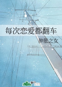 ÿ������������