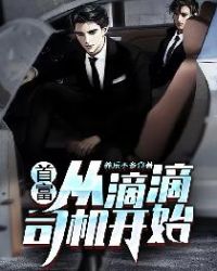 �׸��ӵε�˾����ʼ