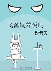 ��������˵��