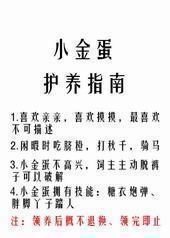 С�𵰻���ָ��