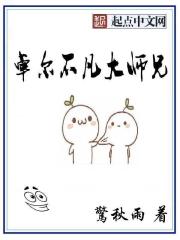 ׿��������ʦ��