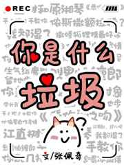 ����ʲô����