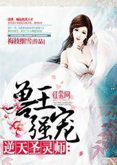 ����ǿ�裺����ʥ��ʦ