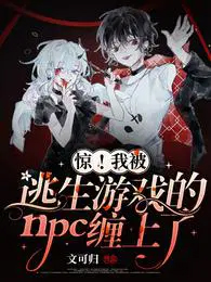 �����ұ�������Ϸ��npc������